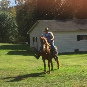 Meet your Posher, Robert mark